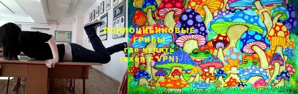 ECSTASY Новодвинск