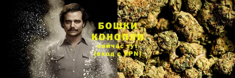 кракен как войти  Оханск  Бошки Шишки THC 21% 